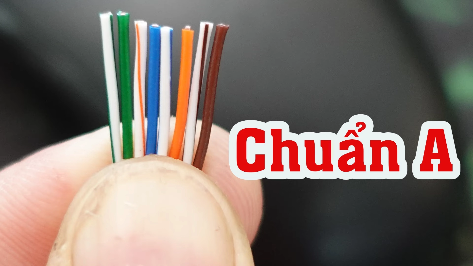 Bấm đầu mạng chuẩn A