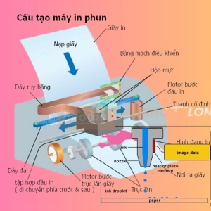 Giới thiệu dịch vụ sửa máy in phun và ngâm đầu phun