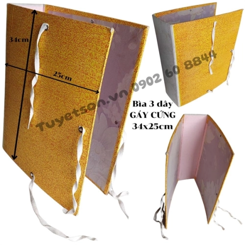 display Bìa 3 dây GÁY CỨNG 34x25cm 2