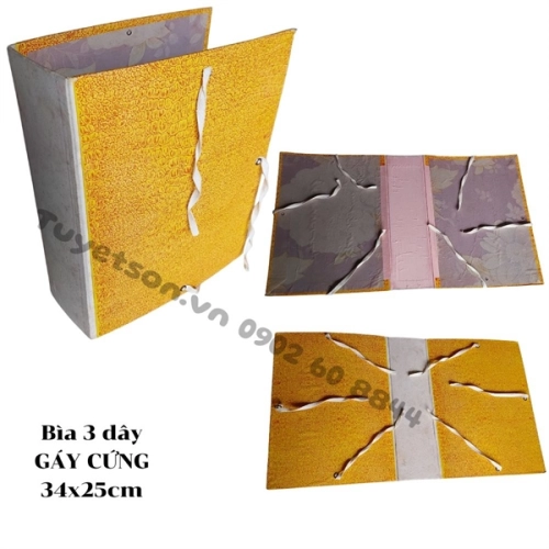 display Bìa 3 dây GÁY CỨNG 34x25cm 1