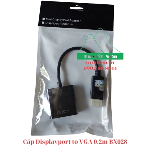 display Cáp Displayport to VGA 0.2m BX028 2