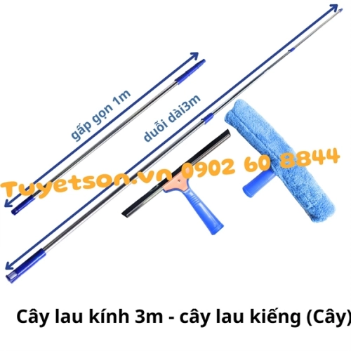 display Cây lau kính 3m - cây lau kiếng 1