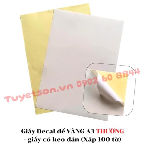 display Giấy Decal đế VÀNG A3 THƯỜNG - giấy có keo dán 2