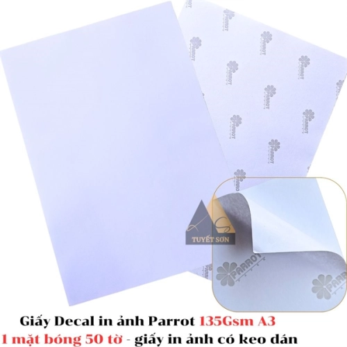 display Giấy Decal in ảnh Parrot 135Gsm A3 1 mặt bóng 50 tờ - giấy in ảnh có keo dán 1