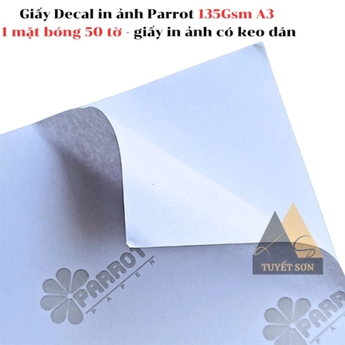 display Giấy Decal in ảnh Parrot 135Gsm A3 1 mặt bóng 50 tờ - giấy in ảnh có keo dán 2