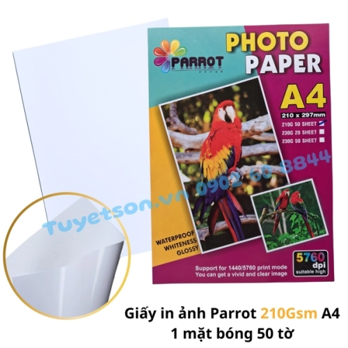 display Giấy in ảnh Parrot 210Gsm A4 1 mặt bóng 50 tờ 1