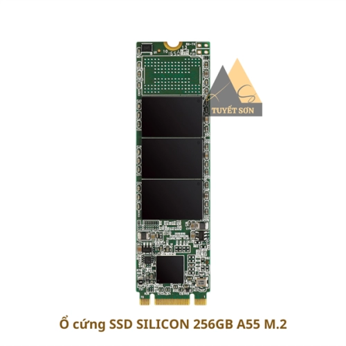 display Ổ cứng SSD SILICON 256GB A55 M.2 Chính Hãng 4