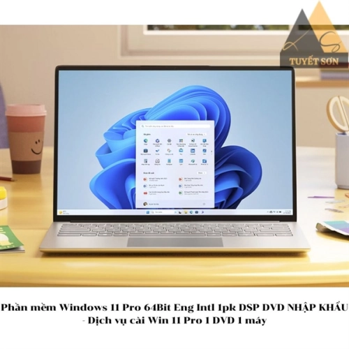 display Phần mềm Windows 11 Pro 64Bit Eng Intl 1pk DSP DVD NHẬP KHẨU - Dịch vụ cài Win 11 Pro 1 DVD 1 máy 1