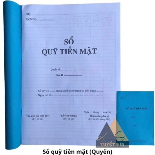 display Sổ quỹ tiền mặt 1