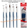 list Bộ 5 cọ vẽ Stacom PBM05S - chất liệu sợi nilon đầu dẹt số 4-8-12 + đầu tròn số 4-8 1