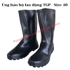 list Ủng bảo hộ lao động TGP 2