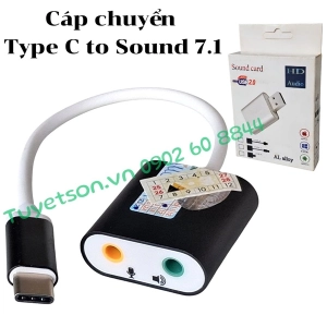 Cáp chuyển Type C to Sound 7.1