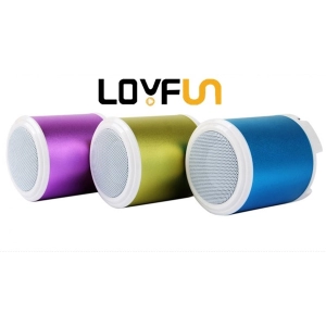 Loa Loyfun H2200
