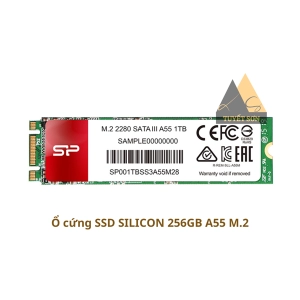 Ổ cứng SSD SILICON 256GB A55 M.2 Chính Hãng