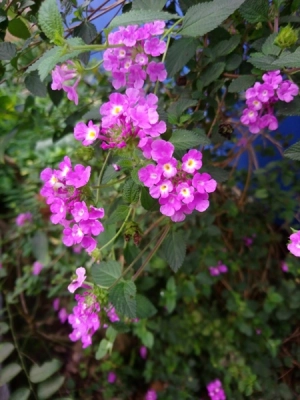 Test 2.2
