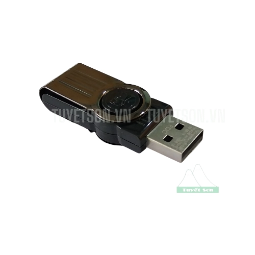 display USB 16Gb Kingston DT101 1