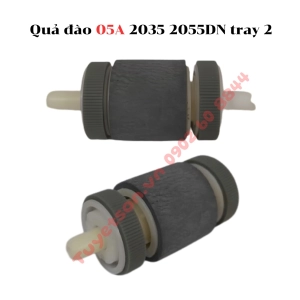 Quả đào 05A 2035 2055DN tray 2