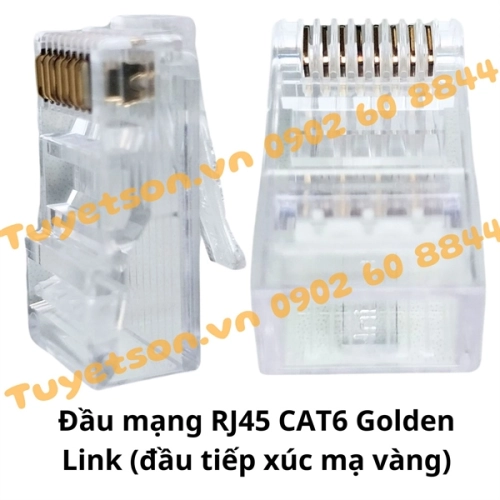 display Đầu mạng RJ45 CAT6 Golden Link (đầu tiếp xúc mạ vàng) 2