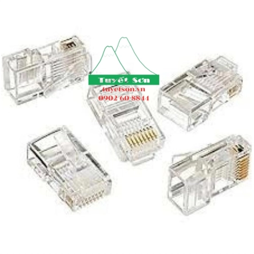 display Đầu mạng RJ45 CAT5E Tenda TEH5E010 (Hộp 100) 4