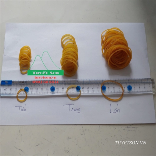 display Dây thun tròn TRUNG 25mm 4