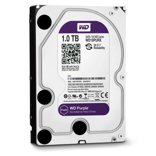 Ổ cứng HDD WD 1TB Chuyên Cam Tím