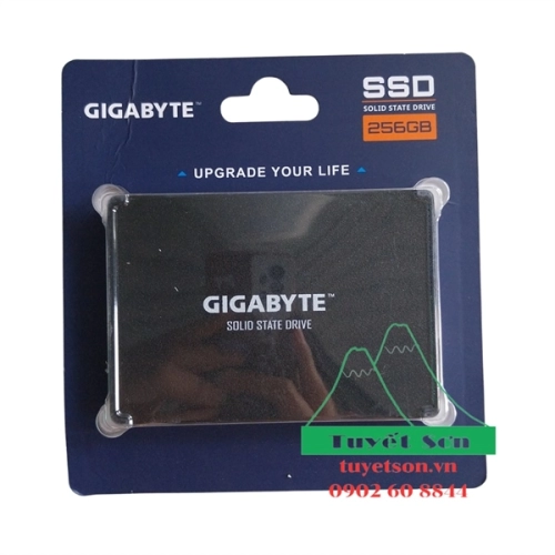 Ổ cứng SSD Gigabyte 256Gb Sata GP-GSTFS31256GTND Chính Hãng