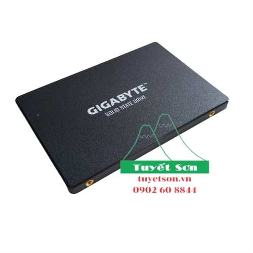 display Ổ cứng SSD Gigabyte 256Gb Sata GP-GSTFS31256GTND Chính Hãng 2