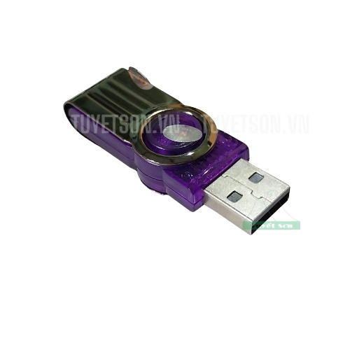 display USB 32Gb Kingston DT101 1