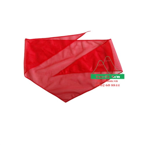 display Khăn quàng đỏ Xịn 2