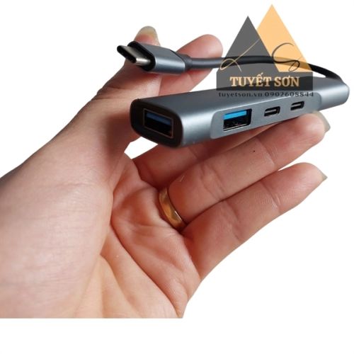 HUB 4P Type C to 2 USB 3.0 + 2 Type C Unitek H311C
