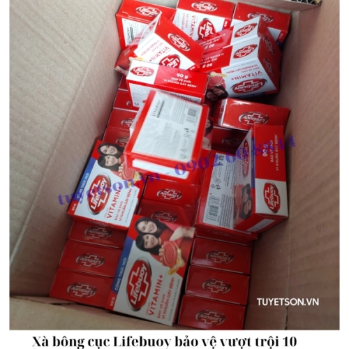 display Xà bông cục Lifebuoy bảo vệ vượt trội 10 2