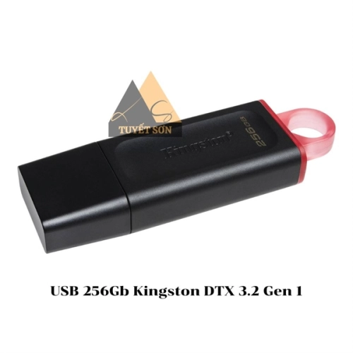 USB 256Gb Kingston DTX 3.2 Gen 1