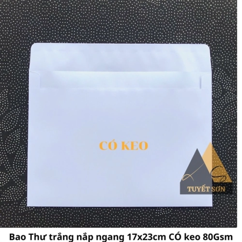 display Bao Thư trắng nắp ngang 17x23cm CÓ keo 80Gsm 2