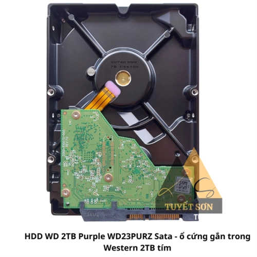 HDD WD 2TB Purple WD23PURZ Sata - ổ cứng gắn trong Western 2TB tím