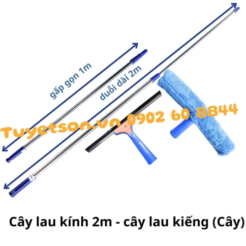 Cây lau kính 2m - cây lau kiếng