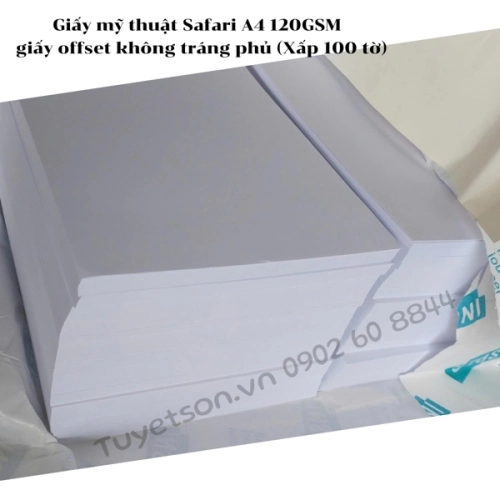 display Giấy mỹ thuật Safari A4 120GSM - giấy offset không tráng phủ 2